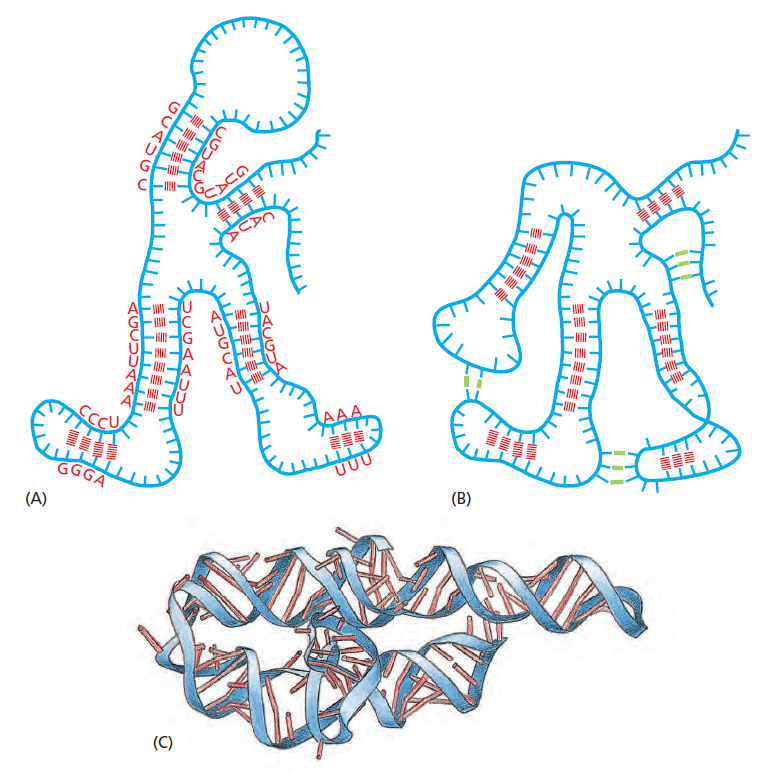 Figure 6-7.png